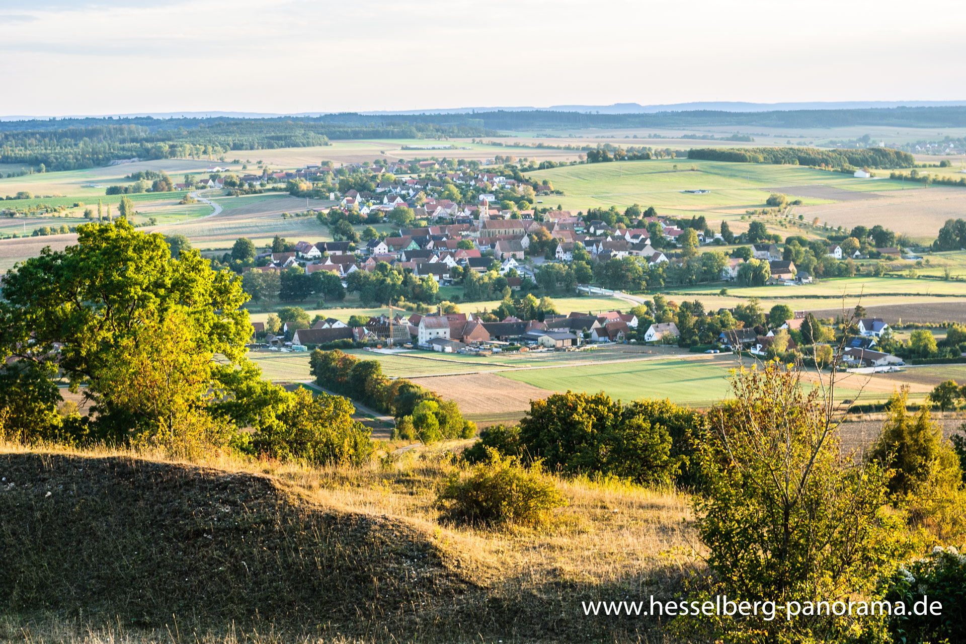 Ausblick von der Hutung nördlich des Berghofs auf Gerolfingen und Aufkirchen