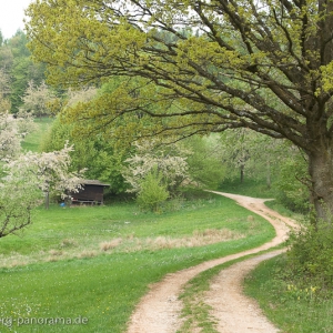 20090424-_DSC0266