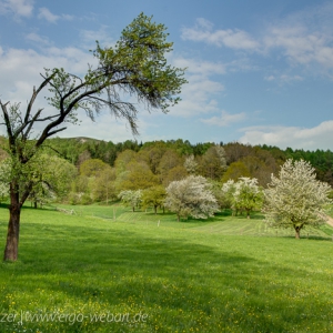 20130506_DSC2275_hdr