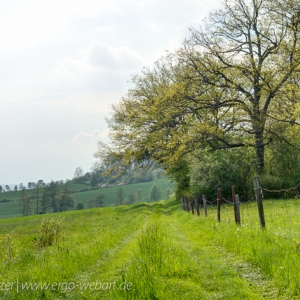 20130506_DSC2287_hdr