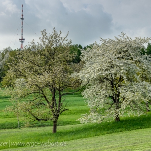 20130506_DSC2302_hdr