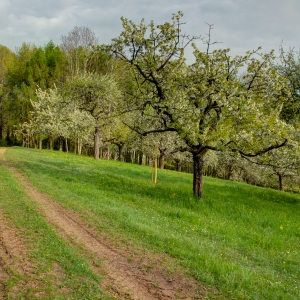 20130506_DSC2347_hdr (1)