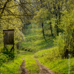 20130506_DSC2353_hdr (1)
