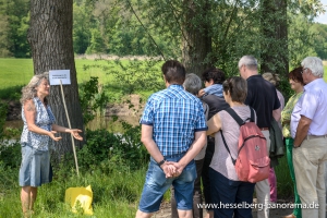 Wildkraeuterfuehrung