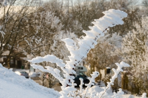 Hesselberg_Schneewanderung_20150214_03