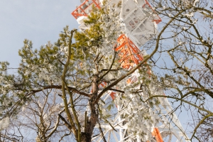 Hesselberg_Schneewanderung_20150214_04