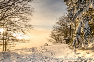 Hesselberg_Schneewanderung_20150214_14