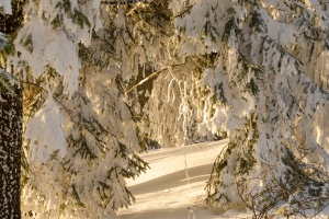 Hesselberg_Schneewanderung_20150214_16
