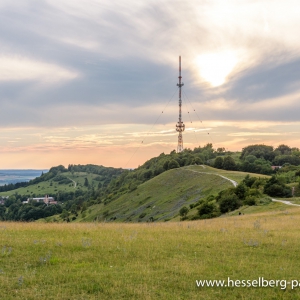 20200719_DSC0334-HDR