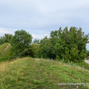 20200719_DSC0349-HDR
