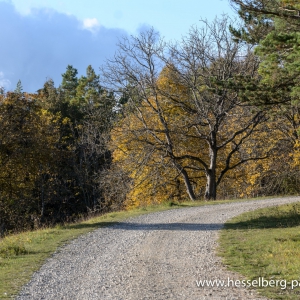 Herbstwanderung_Hsbg-Bergfuss_01