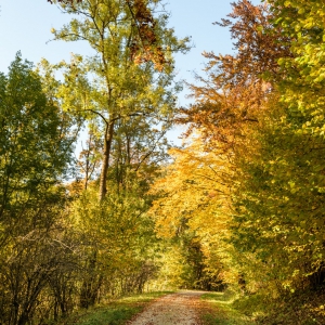 Herbstwanderung_Hsbg-Bergfuss_02