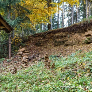 Herbstwanderung_Hsbg-Bergfuss_05