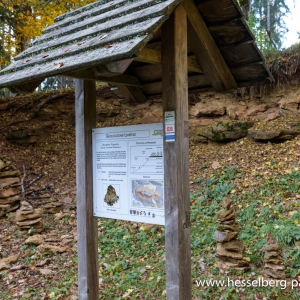 Herbstwanderung_Hsbg-Bergfuss_06