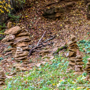 Herbstwanderung_Hsbg-Bergfuss_07