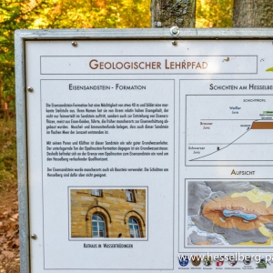Herbstwanderung_Hsbg-Bergfuss_08