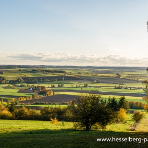 Herbstwanderung_Hsbg-Bergfuss_10