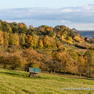 Herbstwanderung_Hsbg-Bergfuss_11