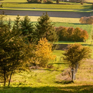 Herbstwanderung_Hsbg-Bergfuss_12