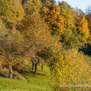 Herbstwanderung_Hsbg-Bergfuss_15