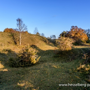 Herbstwanderung_Hsbg-Bergfuss_16