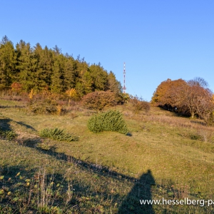 Herbstwanderung_Hsbg-Bergfuss_17