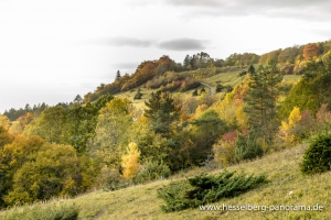 Herbstwandertipp-1_27