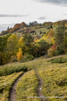Herbstwandertipp-1_30