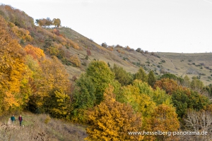 Hesselberg-Herbstwandertipp-3_02