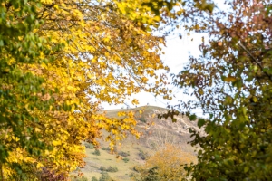 Hesselberg-Herbstwandertipp-3_03